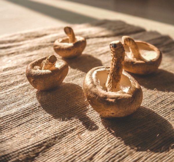 Mushroom Complex Capsules - Image 5