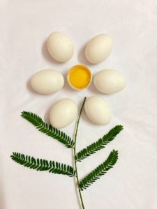 weight loss eggs
